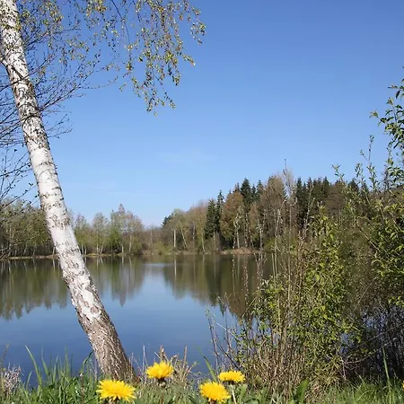 Feriendorf Am Hohen Bogen