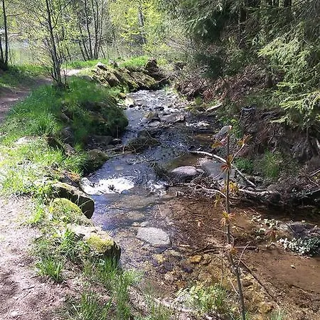 Апартаменты Feriendorf Am Hohen Bogen