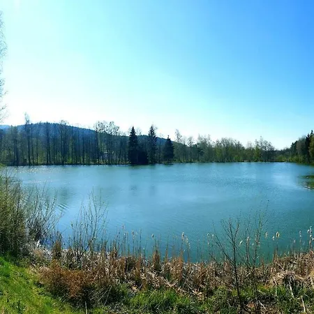 Feriendorf Am Hohen Bogen Апартаменты
